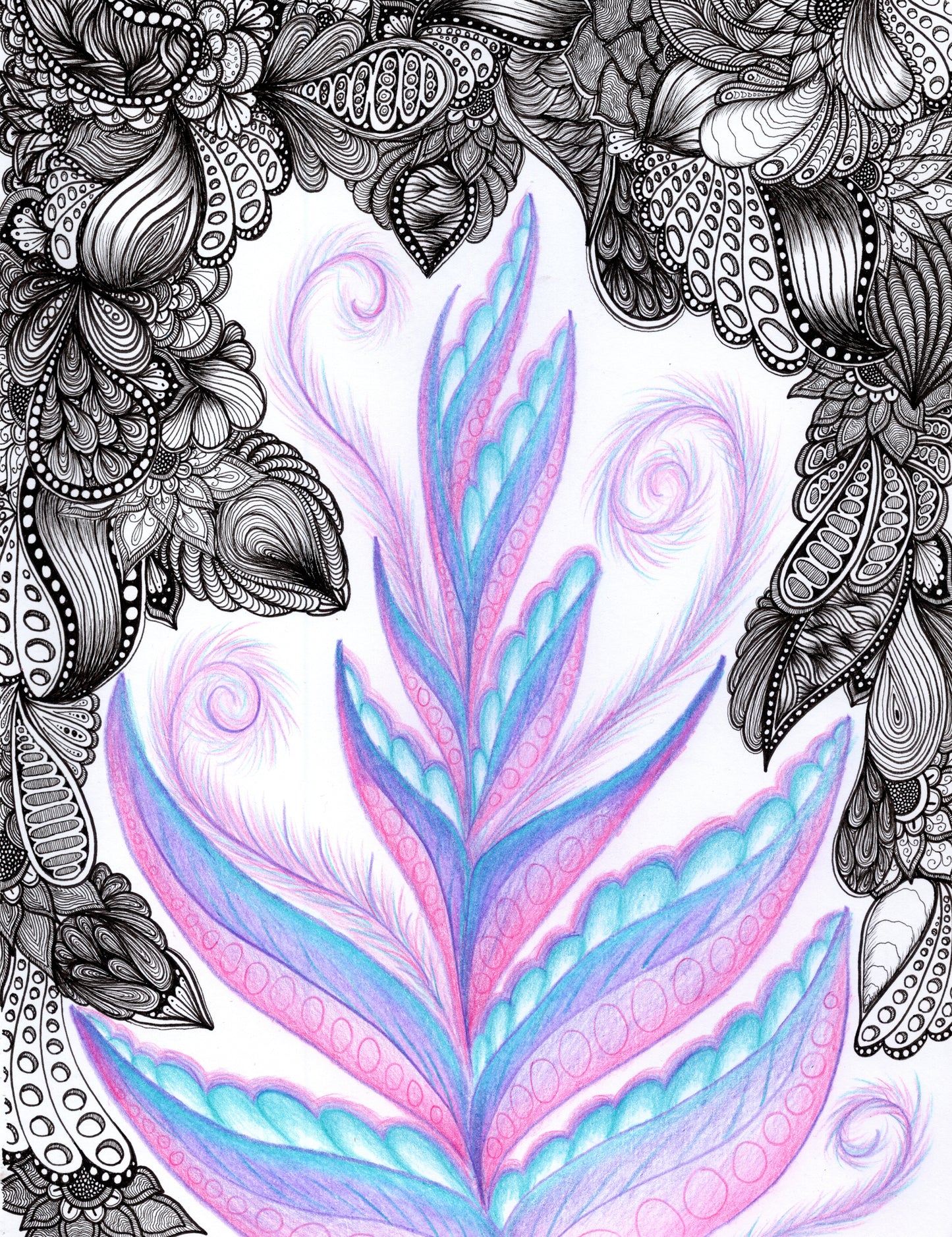 Purple Fern Original Drawing